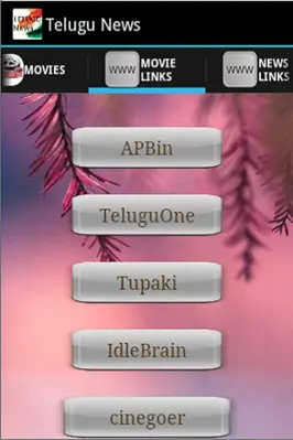 Telugu News android App screenshot 4